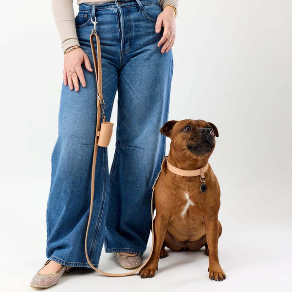 Premium Leather Dog Collar and Lead Snoot Style.