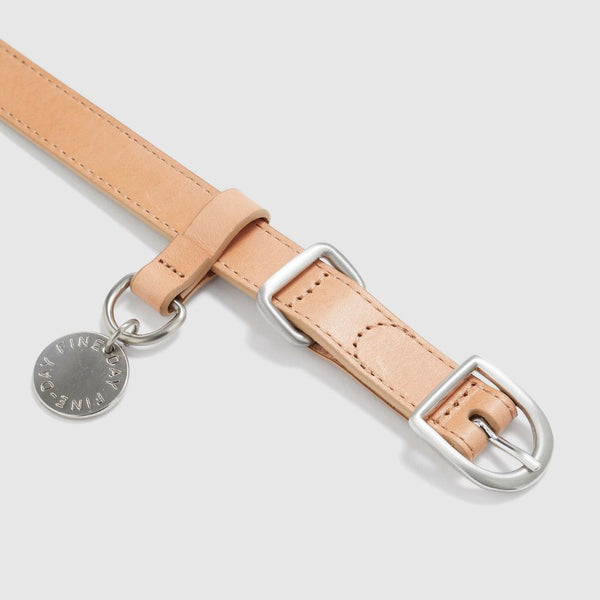 Tan leather collar with stainless steel ID tag Snoot Style