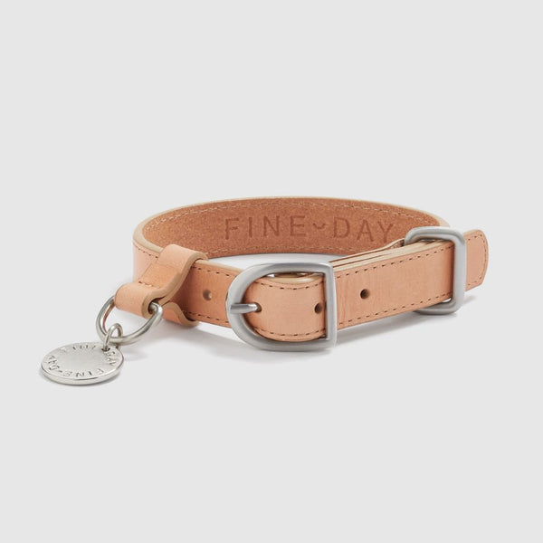 Tan leather dog collar with silver buckle and tag Snoot Style