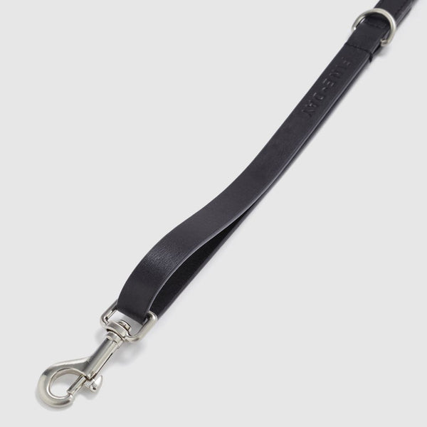 Premium Leather Dog Lead with silver clip Snoot Style