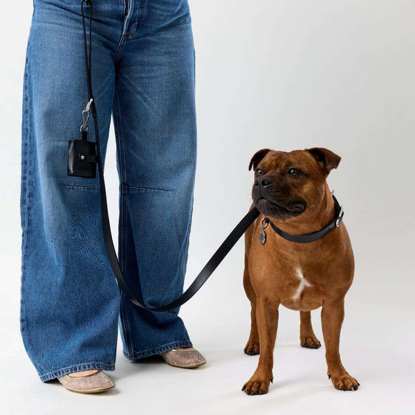 Matching Leather Dog Lead and Collar Snoot Style