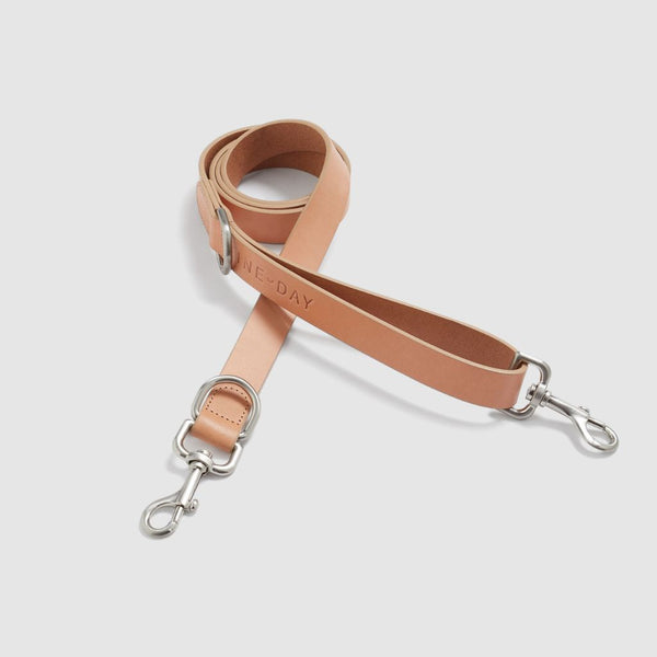 Premium Leather Dog Lead Snoot Style