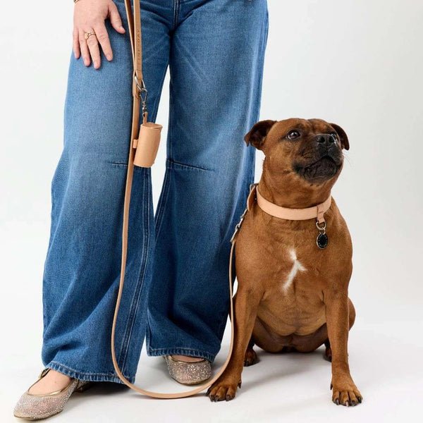 Premium leather matching dog collar and lead set Snoot Style