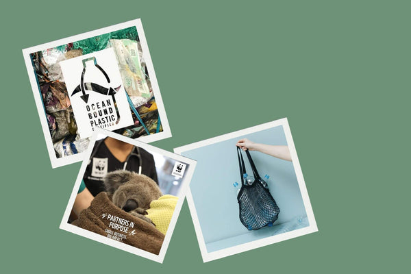 Snoot Style Sustainability