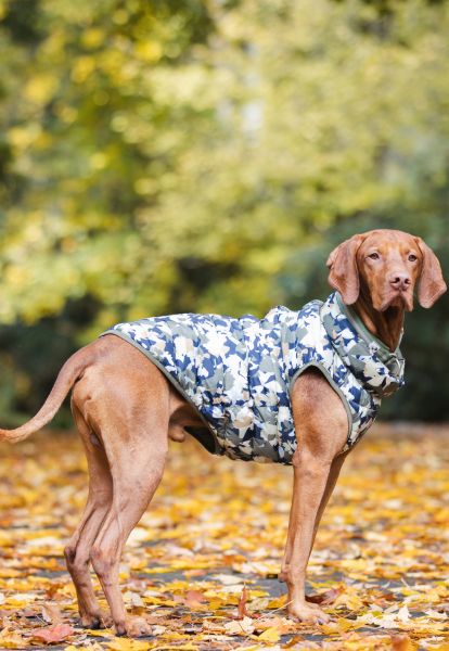 Snoot Style Dog Coats Online