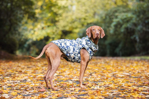Snoot Style Dog Coats