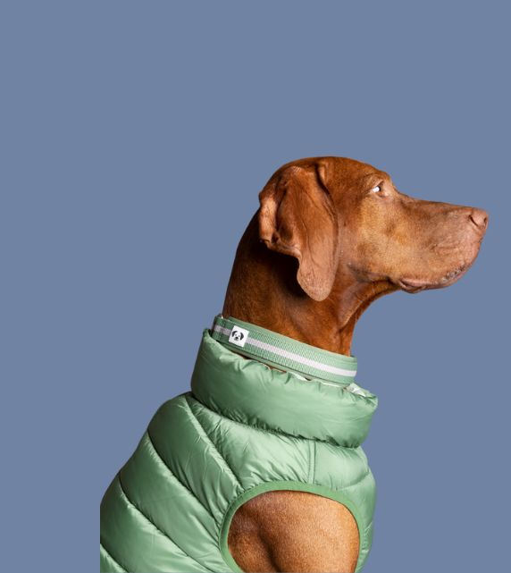 Snoot Style Dog Puffer Jackets
