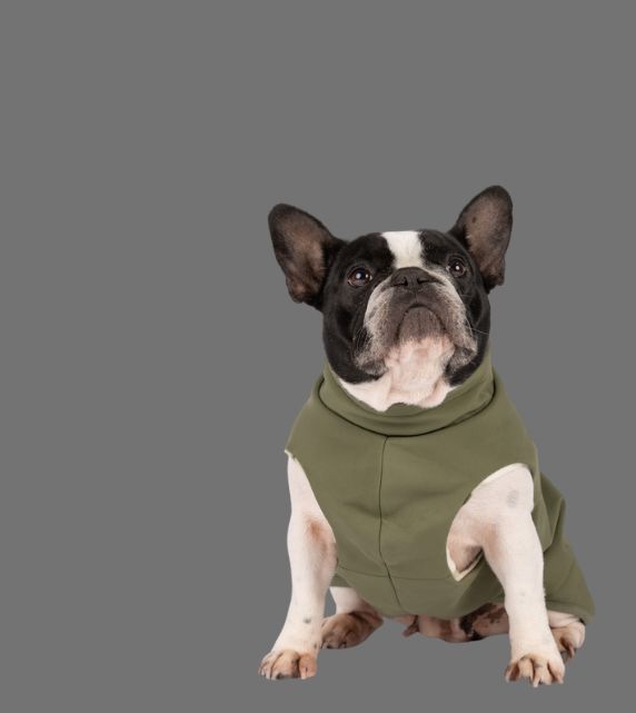 Snoot Style Dog Raincoat