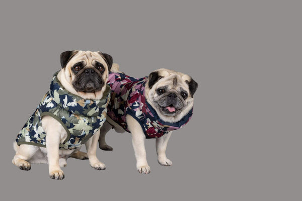 Best Quality Dog Coats Snoot Style.