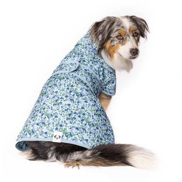 An Aussie Shepherd wearing a Snoot Style Lightweight Dog Raincoat.