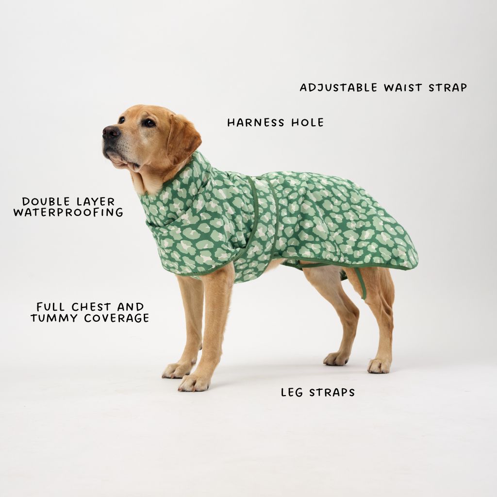 Best Dog Raincoat.