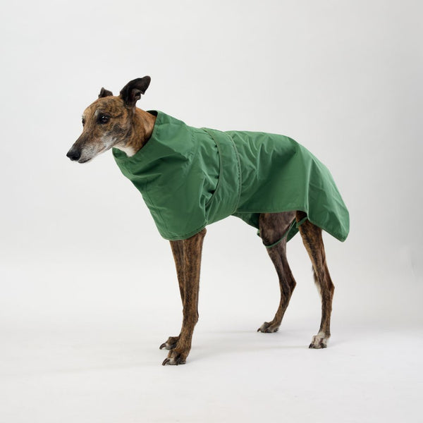 Snoot Style Best Dog Raincoat for Greyhounds.