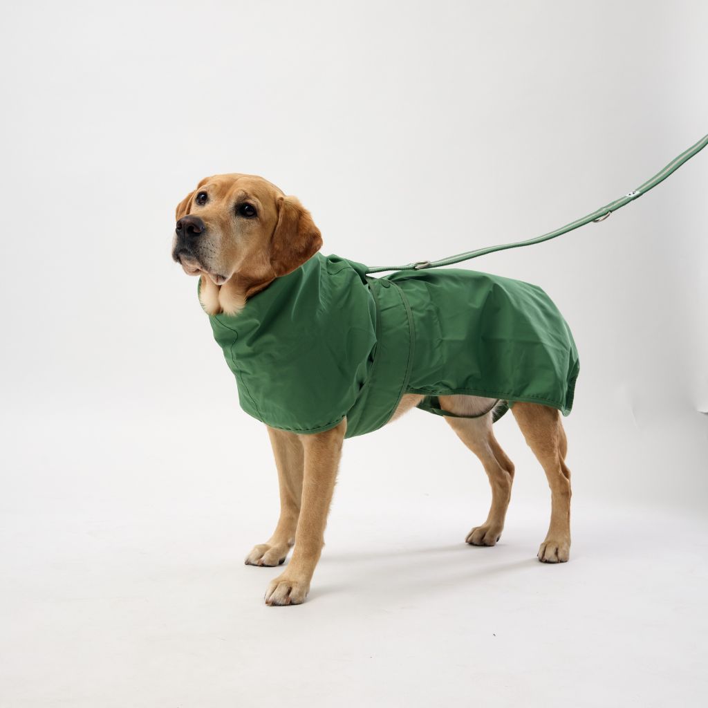 Beat the Elements Dog Raincoat | Green