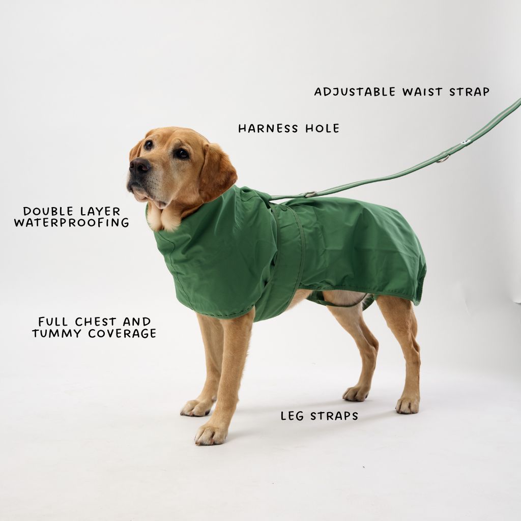 Beat the Elements Dog Raincoat | Green