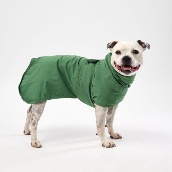 Snoot Style Lightweight Dog Raincoat.