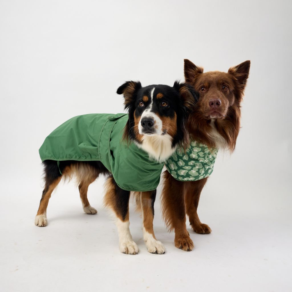 Beat the Elements Dog Raincoat | Green