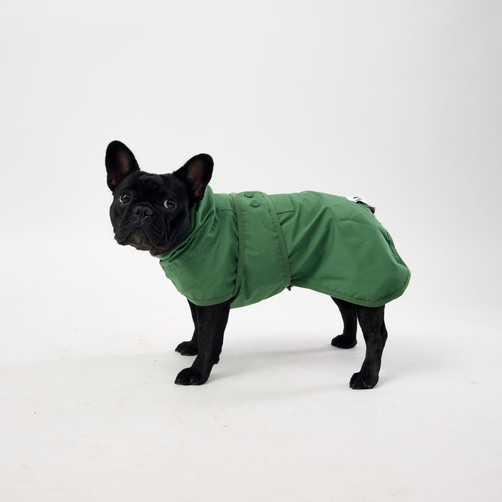 Beat the Elements Dog Raincoat | Green