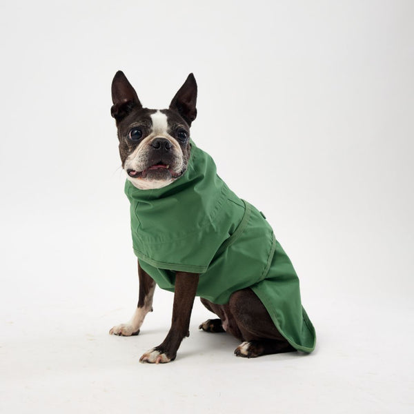 Snoot Style Dog Raincoat for Xtra Small Dogs.