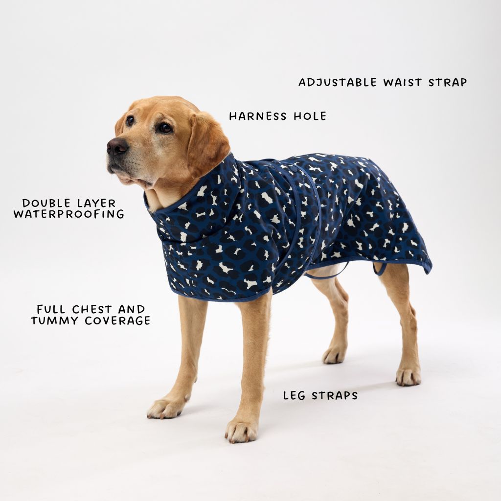 Dog Raincoat for Golden Retrievers.