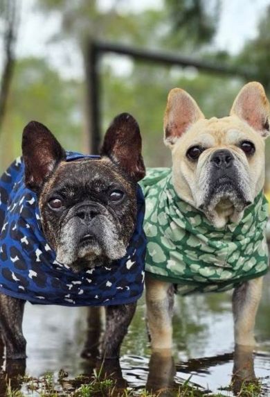 Snoot Style Best Quality Dog Coats