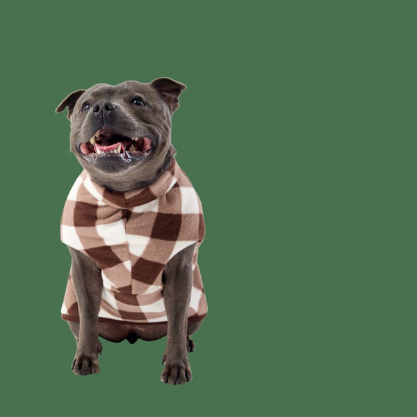 Dog wearing a fleece dog coat on a transparent background