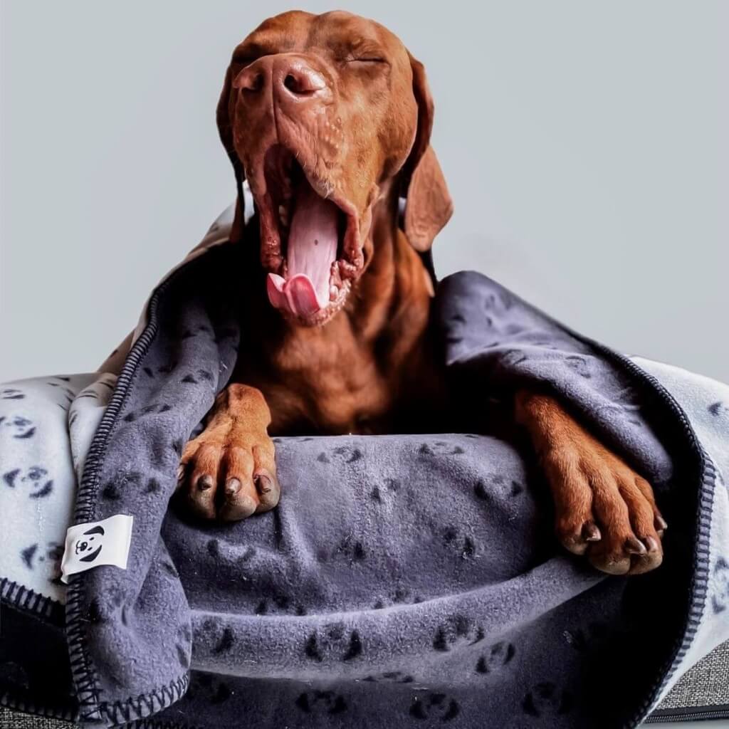 Snoot Style calming fleece dog blanket.
