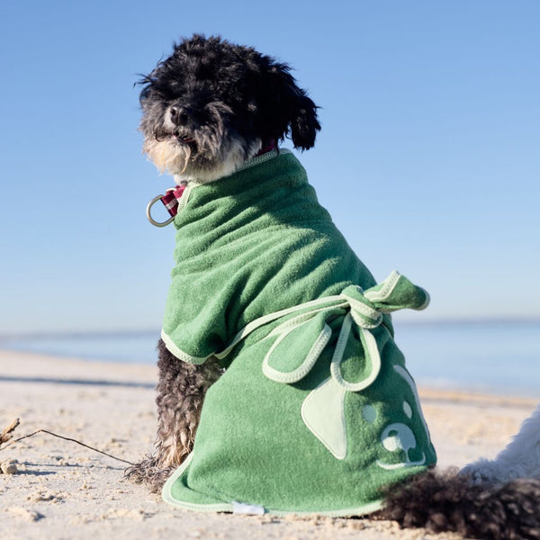Dog wearing a green towel on a beach