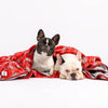 Snoot Style Christmas Dog Blanket.