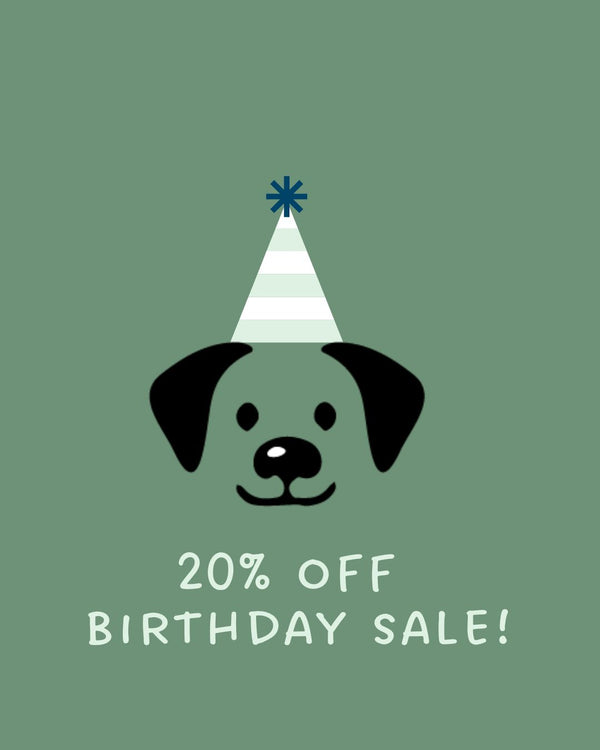 Dog wearing a party hat with '20% off Birthday Sale!' text on a green background