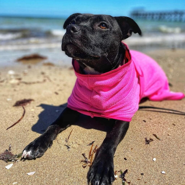 Snoot Style Dog Drying Robe.