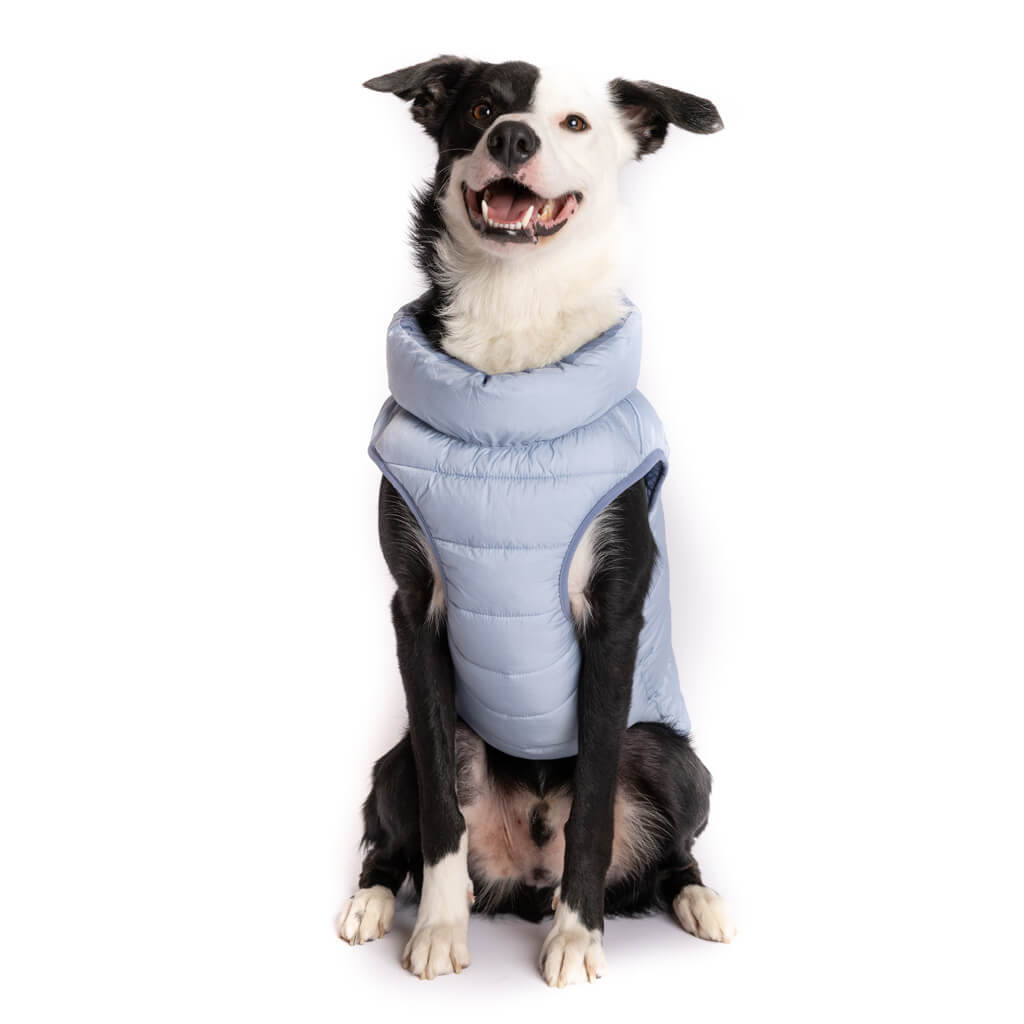 The Winterproof Reversible Dog Puffer Jacket | Stonewash Blue