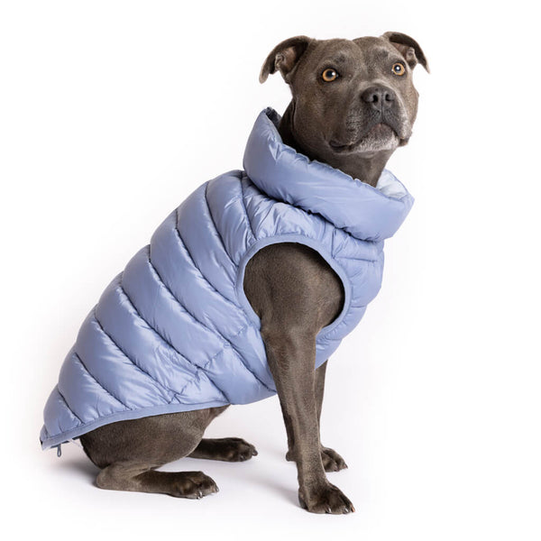 The Winterproof Reversible Dog Puffer Jacket | Stonewash Blue