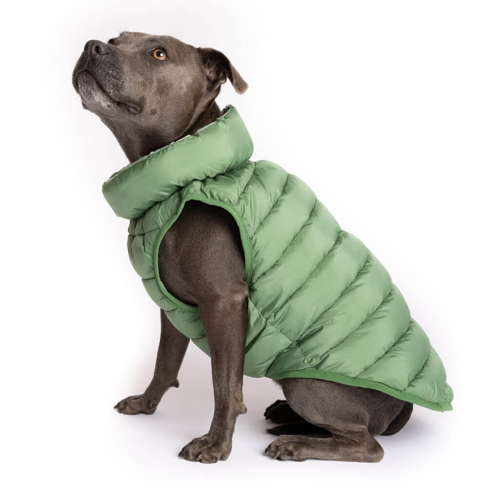 The Winterproof Reversible Dog Puffer Jacket | Elm Green
