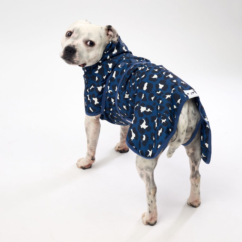 Dog Raincoat for Staffys.