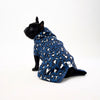 Dog Raincoat for French Bulldog.