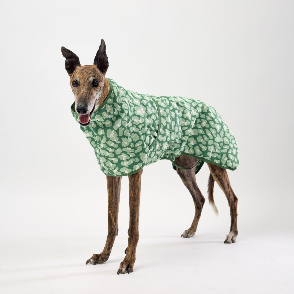 Dog Raincoat for Greyhounds.