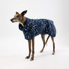 Dog Raincoat for Greyhounds.