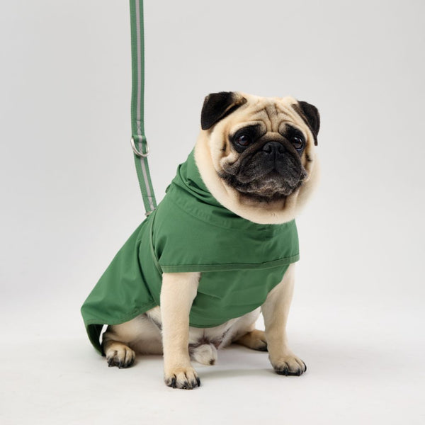 Snoot Style Lightweight Dog Raincoat with Harness Hole.