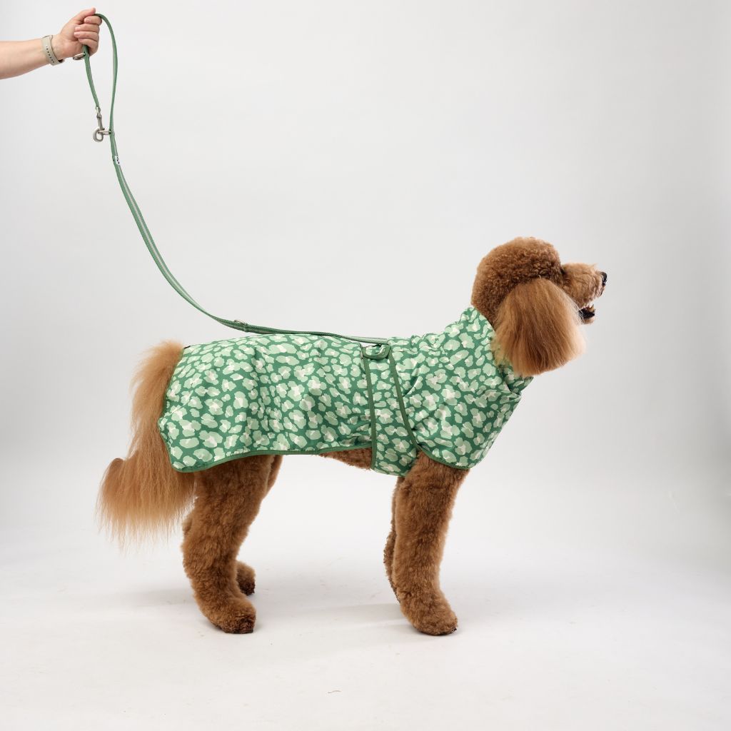 Dog Raincoat with Harness Hole.