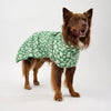 Dog Raincoat for Medium Dogs.