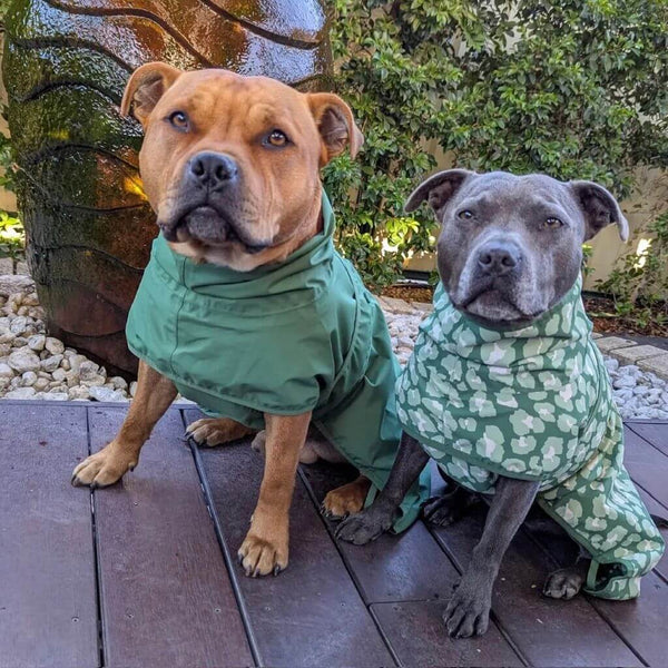 Snoot Style Dog Raincoat Lightweight and Adjustable