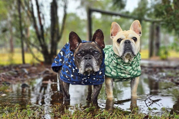 Snoot Style Best Quality Dog Coats