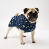 Dog Raincoat for Small Dogs.