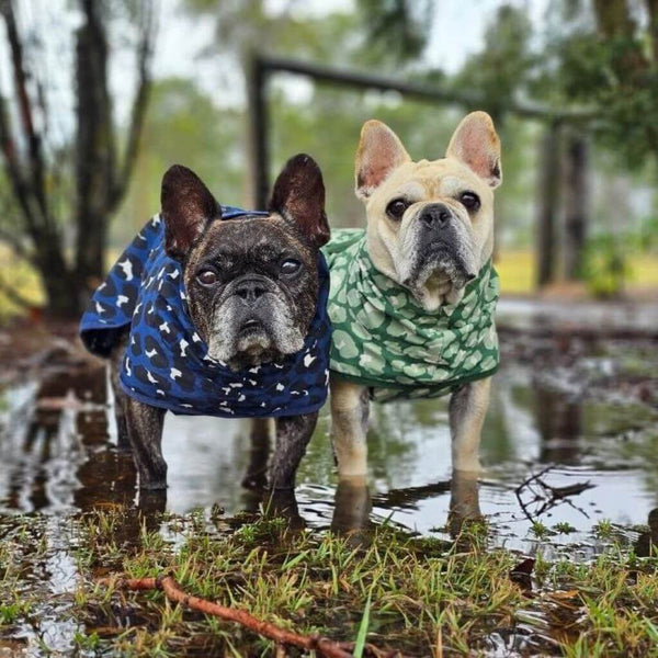 Snoot Style Dog Raincoats Small Dog