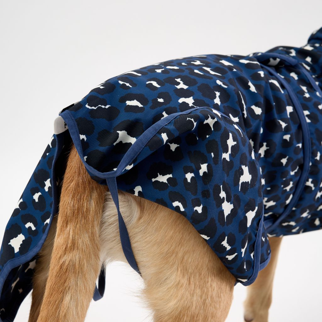 Dog Raincoat with No Velcro.