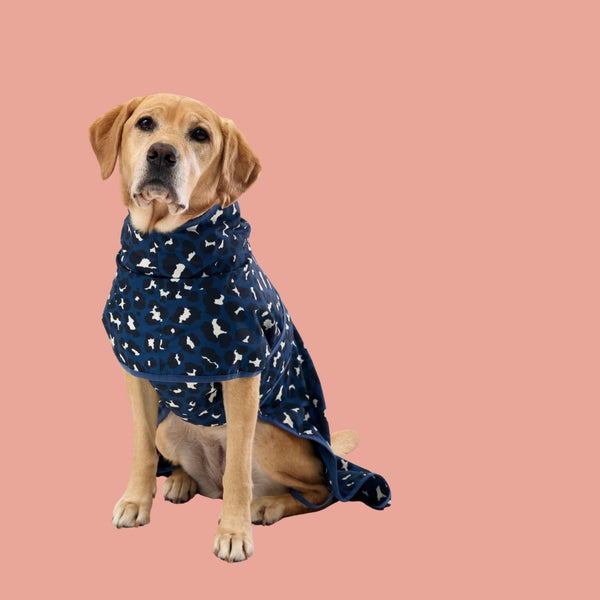 Snoot Style Dog Raincoat