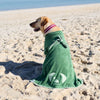 Dog wrapped in a green towel on a sandy beach