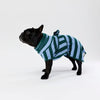 A black French Bulldog wearing a green and light blue striped dog towel robe, standing against a plain white studio background.