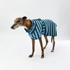 A greyhound dog wearing a green and light blue vertically striped dog towel robe, standing against a plain white studio background.