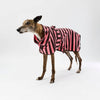 A greyhound dog wearing a pink and chocolate vertically striped dog towel robe, standing in profile against a clean white studio background.